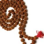Japamala em Rudrasha