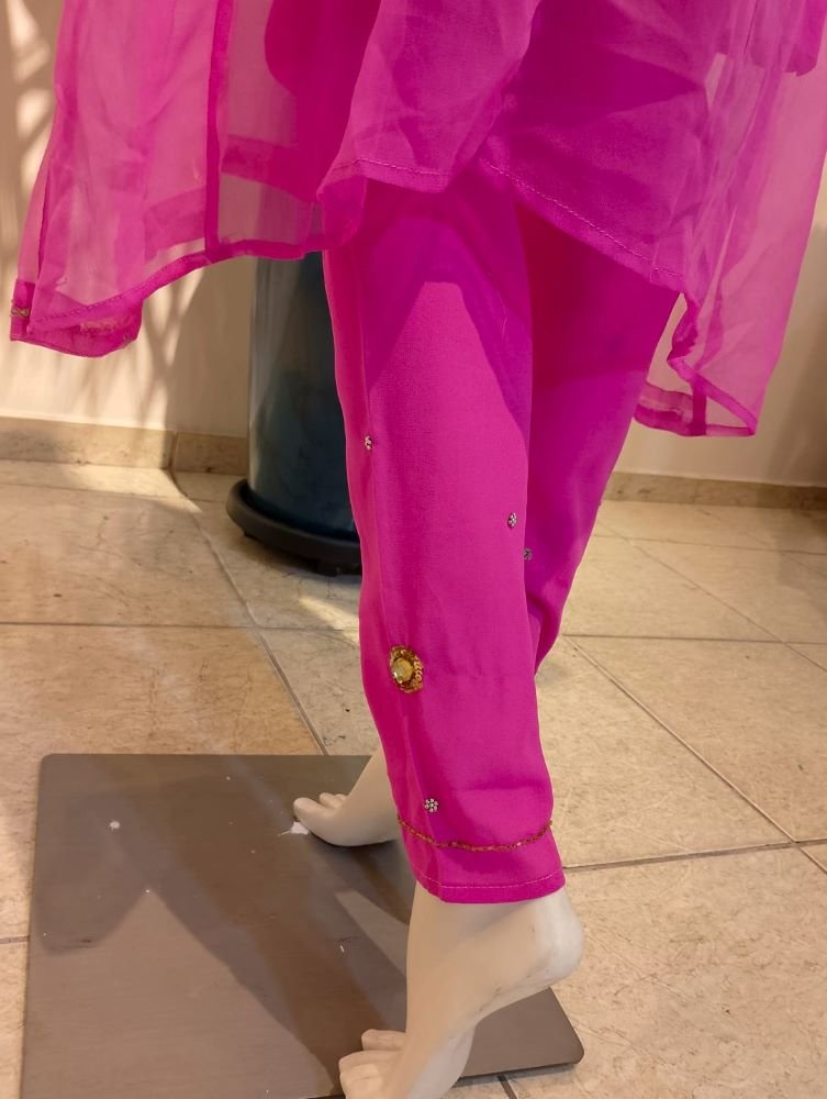 Punjab em Crepe Bordado Pink P