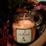 Vela Perfumada Ampliscent Jasmim Exótico